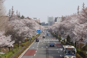 DSC02544