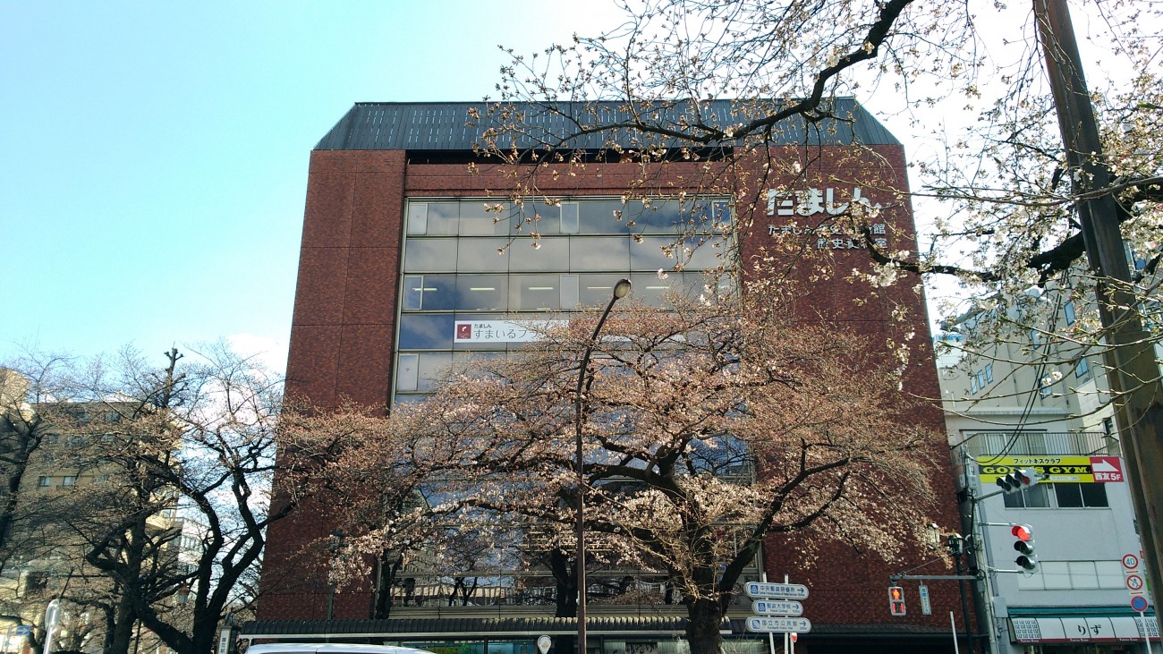 P_20190324_141737_vHDR_Auto