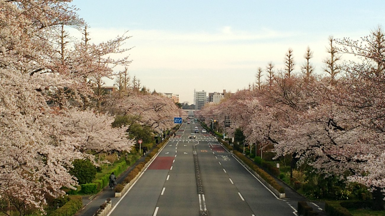 P_20190405_073340_vHDR_Auto