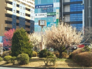 2018-駅前公園