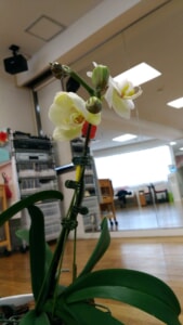 P_20200404_☆124122_vHDR_Auto